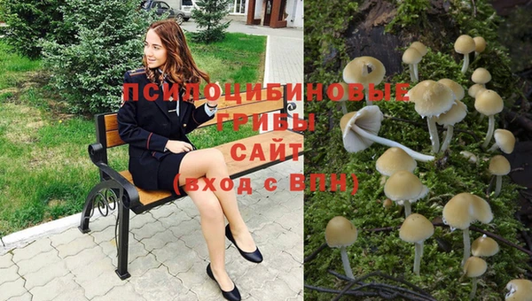 Альфа ПВП Беломорск