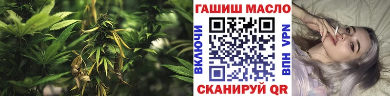 продажа наркотиков  Волчанск  omg tor  Дистиллят ТГК THC oil 
